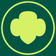 Team Page: Troop 54210